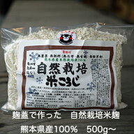 新米無肥料（無化学・無有機）・無農薬・無除草剤【自然栽培米こうじ500g】・熊本県産または福岡県産自然…