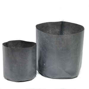 V[|bgicEEsDz|bgjb  Ή 琬 c  ʋC Z