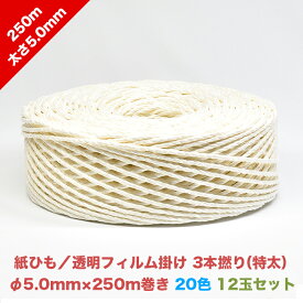 紙ひも／透明フィルム掛け 3本撚り（特太）5.0mm×250m【20色】【お得な12玉セット】／セロ3本特太| カラー 色 吊るす ロープ 紙紐 ヒモ 梱包資材 荷造り紐 新聞 雑誌 ダンボール 縛り紐 資源ごみ ゴミ処理 猫ちぐら