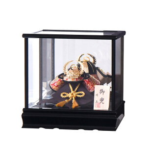  RpNg P[X ƍN 킢 IV ؖڍ CeA ^