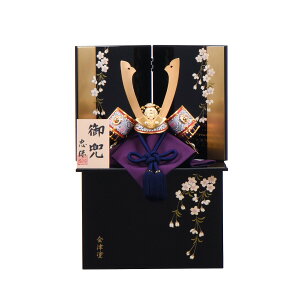  RpNg IV Óh ^ [ 5 Z zۍ  ߋ  ʎG