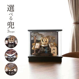 五月人形 コンパクト ケース飾り 選べる アクリル 5号 兜飾り 彫金アクリル 徳川/伊達/上杉