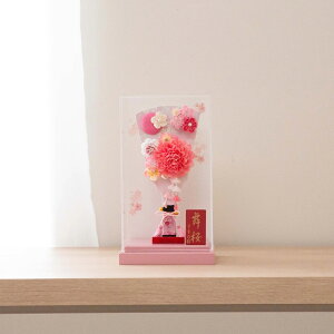 Hq RpNg 킢  ߋ sN  9  񂴂 ANP[X