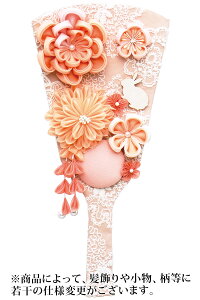 Hq Pi iIWj 9 y2026NxVz h081-mm-hg2528-9s