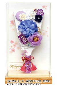 Hq P[X ꂢJUVijHq 9  C ItzCg ANP[X y2026NxVz h081-mm-hg2517-9