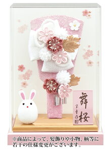 Hq P[X ߂JUVizCgjHq 7  C sNA ANP[X y2026NxVz h081-mm-hg2521-7