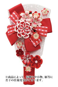 Hq Pi {JUViԁj 7 y2026NxVz h081-mm-hg2617-7r