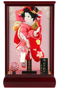 Hq  P[X  ɏ  10 ԗP[X h291-skt-10-red10