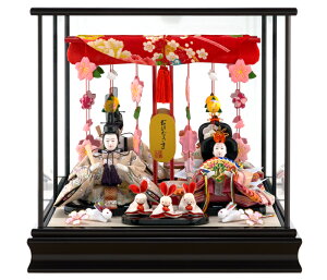 l` I ЂȐl`  RpNg l` I  P[X  e IЂȐl`  䐗  h253-mi-ks-h312br y2026NxVz ЂȍՂ