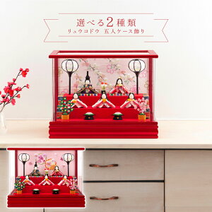 l` ERhE ߂ RpNg ЂȐl`  P[X ܐl LfB[bh CXg[ ANP[X y2026NxV쐗l`zyIׂ2ށz h073-rkcp-ca29-3-1-5