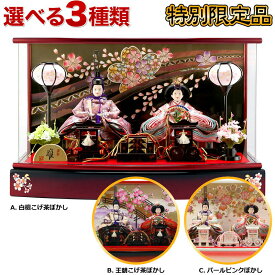 雛人形 ひな人形 雛 ケース飾り 親王飾り 清玉作 芥子親王 アクリルケース オルゴール付 【2025年度新作】【選べる3色】 h293-sg-r52