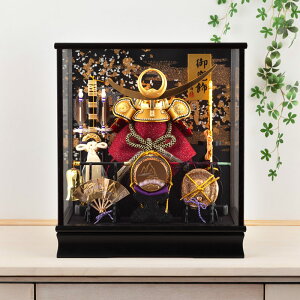 ܌l` 㐙M RpNg P[X   _  IS[t y2026NxVz h075-fncp-165-728-25