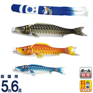 ̂ڂ  ̂ڂ 뉀p 5m 6_Zbg ʃ} V^ߋT  ƖE y2026NxVz mk-104-738