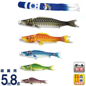 ̂ڂ  ̂ڂ 뉀p 5m 8_Zbg ʃ} V^ߋT  ƖE y2026NxVz mk-104-813