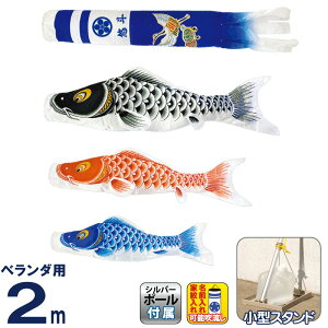 ̂ڂ  ̂ڂ x_p ^X^hZbg 2m o V^ߋT ƖE y2026NxVz mk-147-643