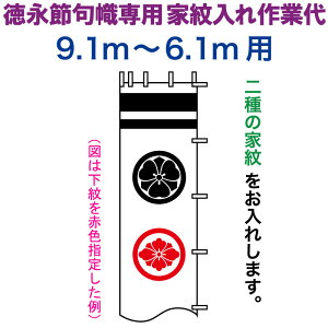 ҊĜڂ i қ 9.1`6.1mp Ɩ  ip ƖƑ y2026NxVz toku-kamon-n2-91-61