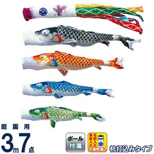 ̂ڂ i ̂ڂ 뉀p 3m7_K[fZbg Yō g cǰ H |GXeWK[h ƖE\ y2026NxVz 115-101