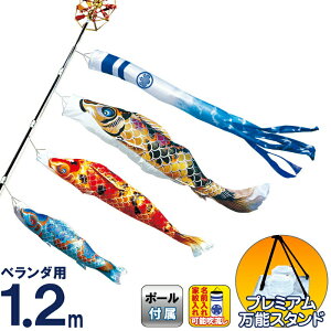 ̂ڂ i ̂ڂ x_p 1.2m X^hZbg   FTV |GXěD ƖE\ y2026NxVz 116-802