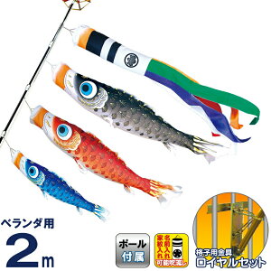 ̂ڂ i ̂ڂ x_p 2m CZbg ͂邩 ÓT H |GXeA[ ƖE\ y2026NxVz 120-240