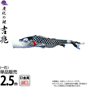 ̂ڂ i ̂ڂ Pi 2.5m g cǰ  H |GXeWK[hDn y2026NxVz 000-562