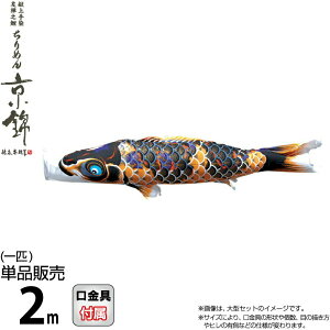 ̂ڂ i ̂ڂ Pi 2m ߂񋞋  FTV H |GXen y2026NxVz 000-756-s