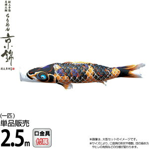 ̂ڂ i ̂ڂ Pi 2.5m ߂񋞋  FTV H |GXen y2026NxVz 000-761