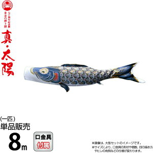 ̂ڂ i ̂ڂ Pi 8m ^Ez ̋P  H |GXeTen y2026NxVz 003-801