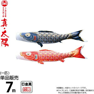 ̂ڂ i ̂ڂ Pi 7m ^Ez ̋P H |GXeTen y2026NxVz 003-802