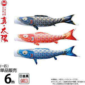 ̂ڂ i ̂ڂ Pi 6m ^Ez ̋P H |GXeTen y2026NxVz 003-803