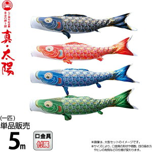 ̂ڂ i ̂ڂ Pi 5m ^Ez ̋P H |GXeTen y2026NxVz 003-804