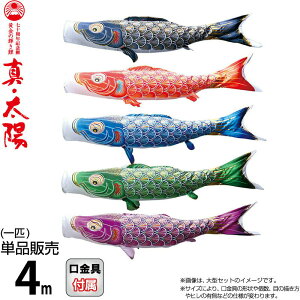 ̂ڂ i ̂ڂ Pi 4m ^Ez ̋P H |GXeTen y2026NxVz 003-805