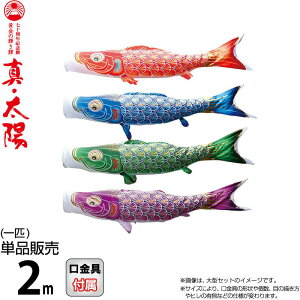 ̂ڂ i ̂ڂ Pi 2m ^Ez ̋P H |GXeTen y2026NxVz 003-808