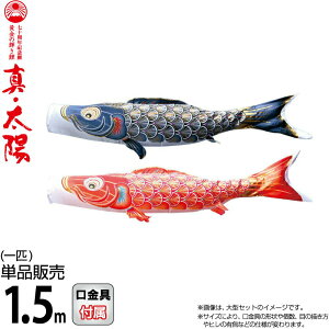 ̂ڂ i ̂ڂ Pi 1.5m ^Ez ̋P H |GXeTen y2026NxVz 003-809-s