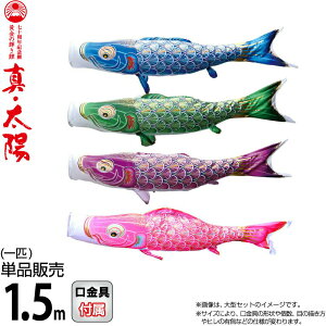 ̂ڂ i ̂ڂ Pi 1.5m ^Ez ̋P H |GXeTen y2026NxVz 003-809