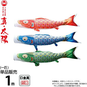 ̂ڂ i ̂ڂ Pi 1m ^Ez ̋P H |GXeTen y2026NxVz 003-811-s