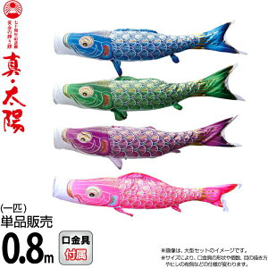 ̂ڂ i ̂ڂ Pi 0.8m ^Ez ̋P H |GXeTen y2026NxVz 003-812-s