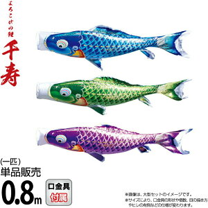 ̂ڂ i ̂ڂ Pi 0.8m  낱т̌ H |GXěDn y2026NxVz 001-340-s