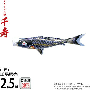 ̂ڂ i ̂ڂ Pi 2.5m  낱т̌  H |GXěDn y2026NxVz 001-341