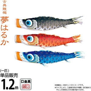 ̂ڂ i ̂ڂ Pi 1.2m ͂邩 H |GXeA[n y2026NxVz 001-640-s