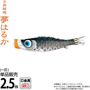 ̂ڂ i ̂ڂ Pi 2.5m ͂邩  H |GXeA[n y2026NxVz 001-643