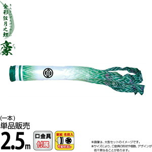 ̂ڂ i ̂ڂ Pi 2.5m  Vې H |GXeVL[uCgn ƖEO\ y2026NxVz 001-876