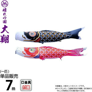 ̂ڂ i ̂ڂ Pi 7m  |GXeVL[uCgn y2026NxVz 003-707