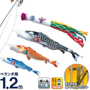 ̂ڂ i ̂ڂ x_p 1.2m CZbg g cǰ H |GXeWK[h ϔ ƖE\ y2026NxVz 120-052