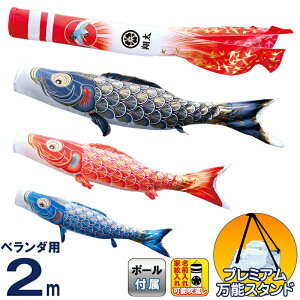 ̂ڂ i ̂ڂ x_p 2m X^hZbg  ^Ez ̋P H |GXeTe ƖE\ y2026NxVz 003-790