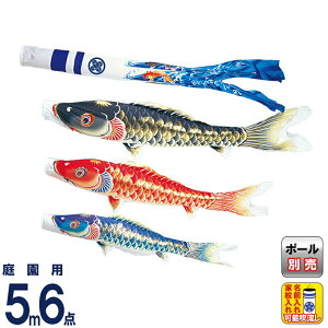 ̂ڂ ^ix ̂ڂ 뉀p 5m 6_Zbg V |GXe  ƖEO y2026NxVz wtk-tk00053