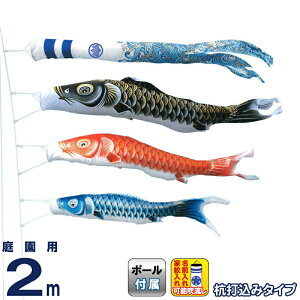 ̂ڂ LO ̂ڂ 뉀p 2m 뉀Zbg P |GXe  YōtZbg ƖEO\ y2026NxVz ym-2712020