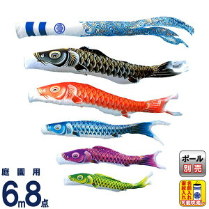 ̂ڂ LO ̂ڂ 뉀p 6m8_ P (݂) |GXe H ƖEO\ y2026NxVz ym-2711860