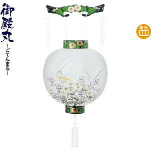 ~ a ڈ nG drLED rj y2026NxVz h078-ymt-0248-led1584