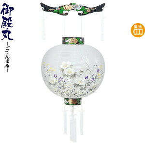 ~ a ڎO nG drLED rj y2026NxVz h078-ymt-0250-led1584