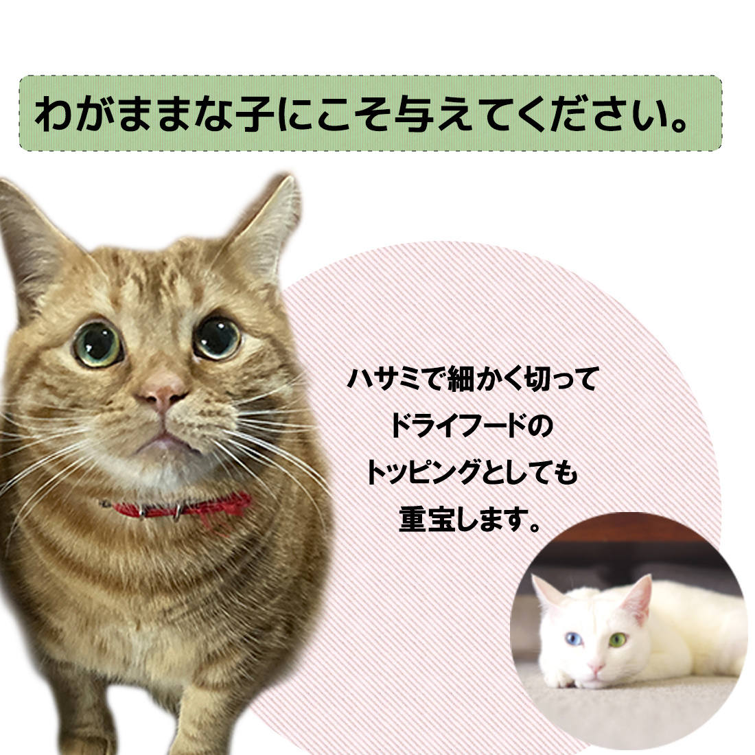 オンライン限定商品】 フリーズドライのササミ 猫用150g ×5袋 - ペットフード - www.petromindo.com